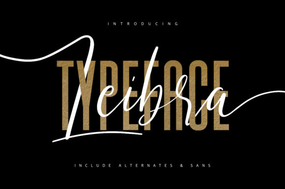 Leibra: A Modern Script Font for Web Design