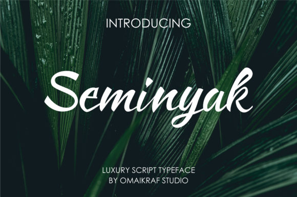 Seminyak: The Handwritten Font for Your Brand