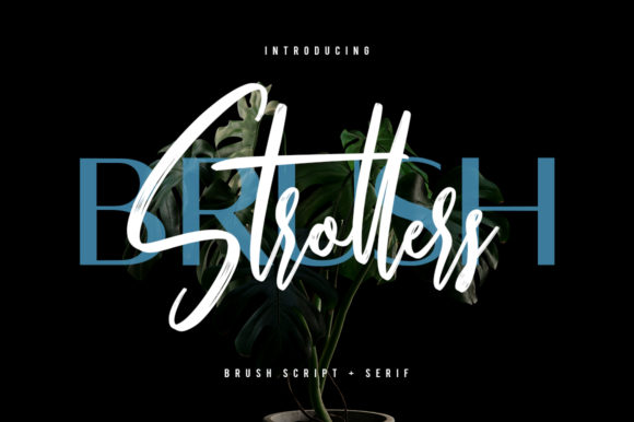 Strollers: A Premium Duo Font for Modern Web Design