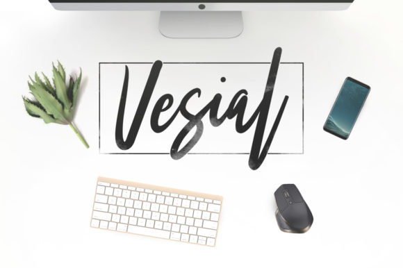 Vesial: The Handwritten Font for Modern Marketing